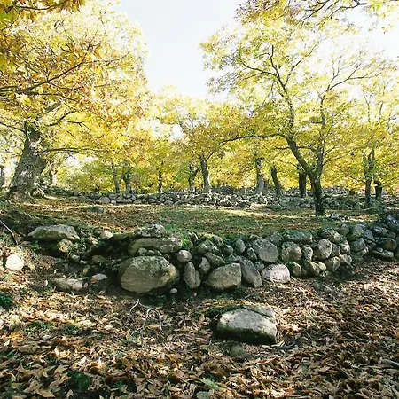 Ai Castagni Nocleg ze śniadaniem Bagnore