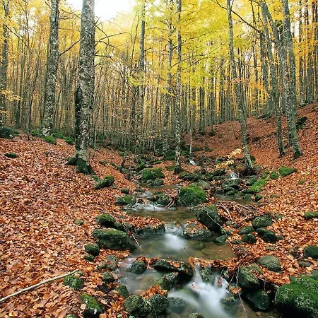 Nocleg ze śniadaniem Ai Castagni