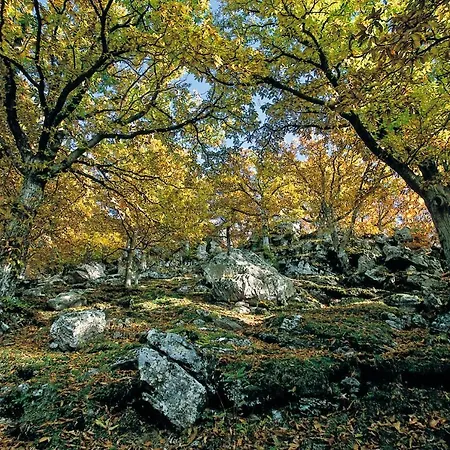 Ai Castagni B&B Bagnore